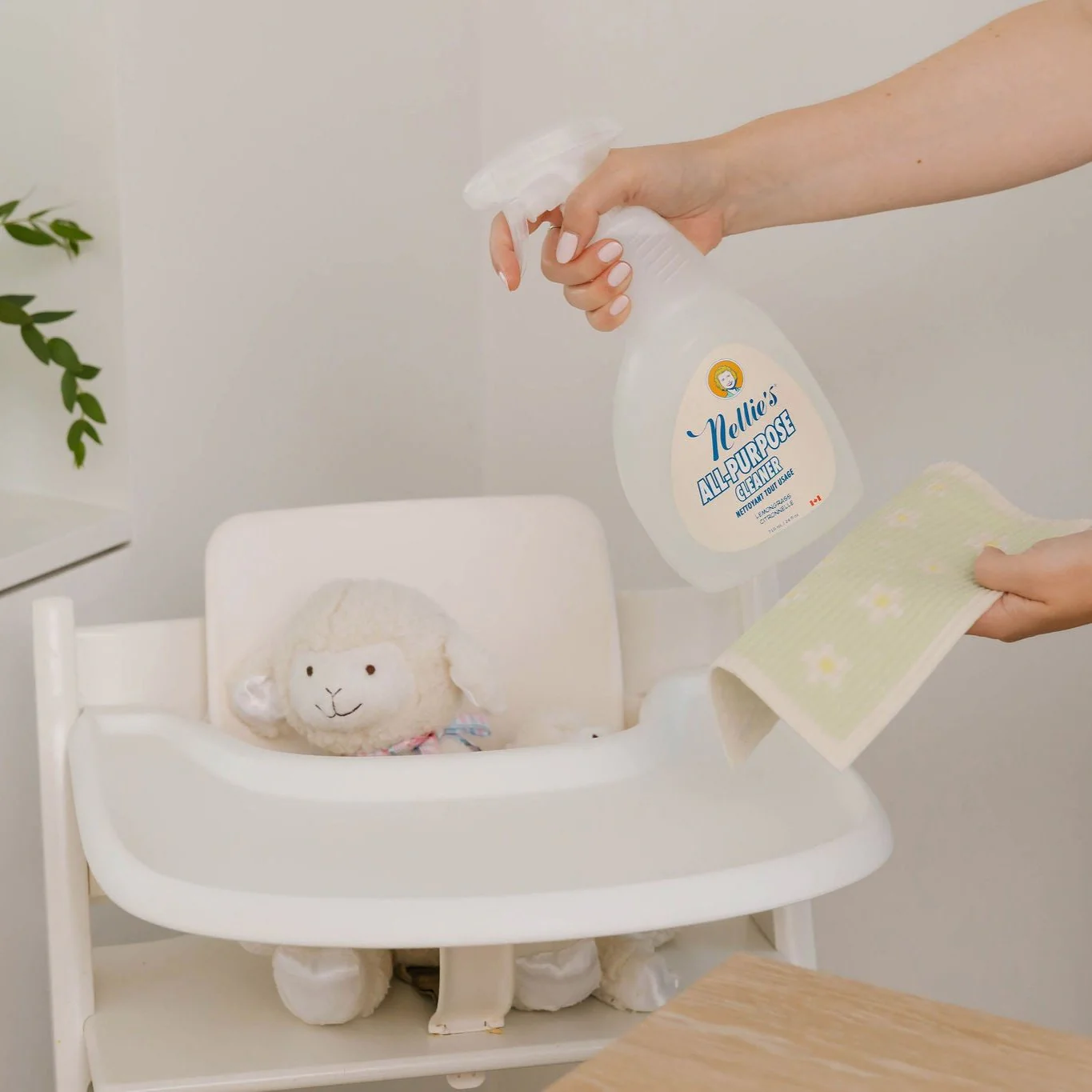 All-Purpose Cleaner - Image 8