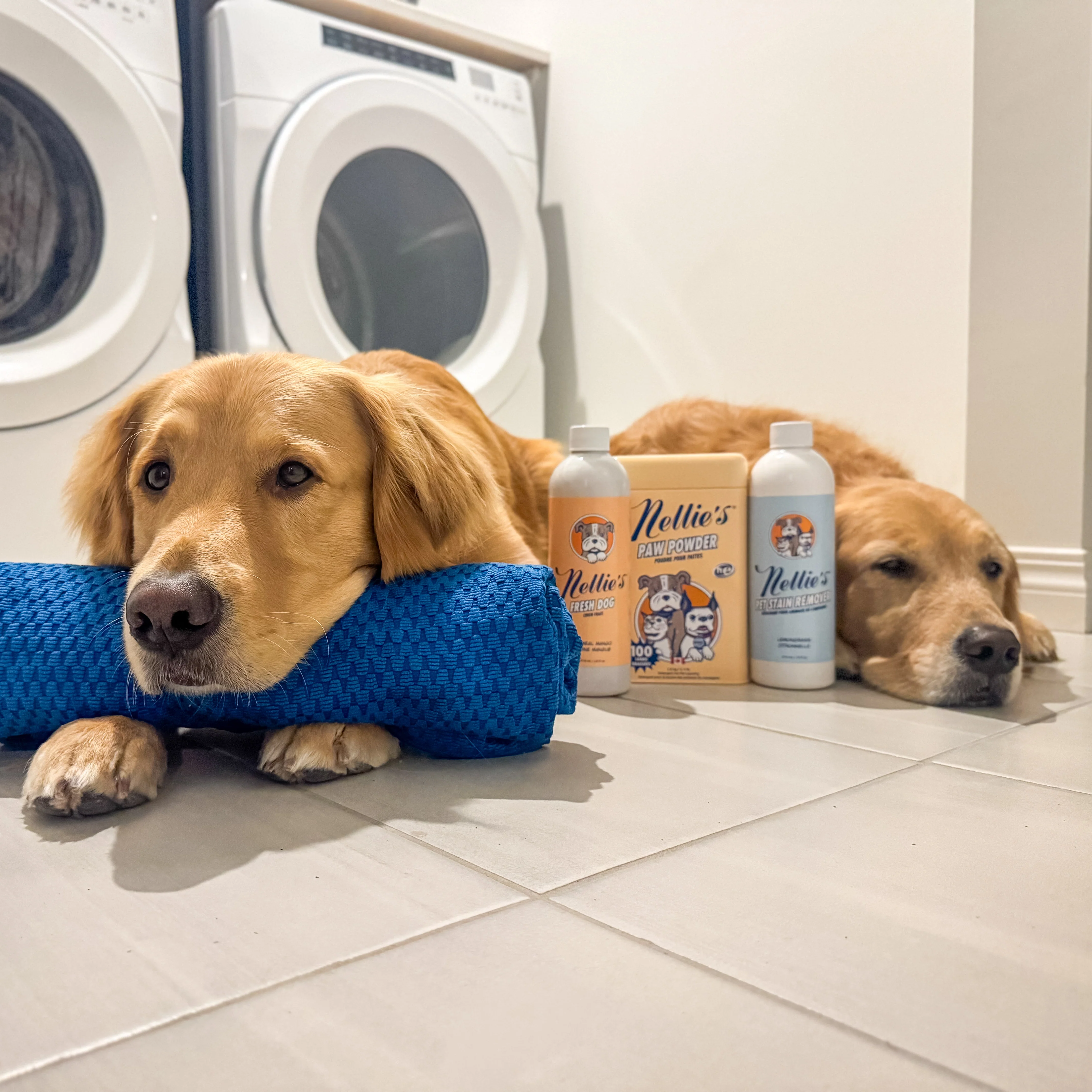 DBL DRY Dog Towel - Image 3