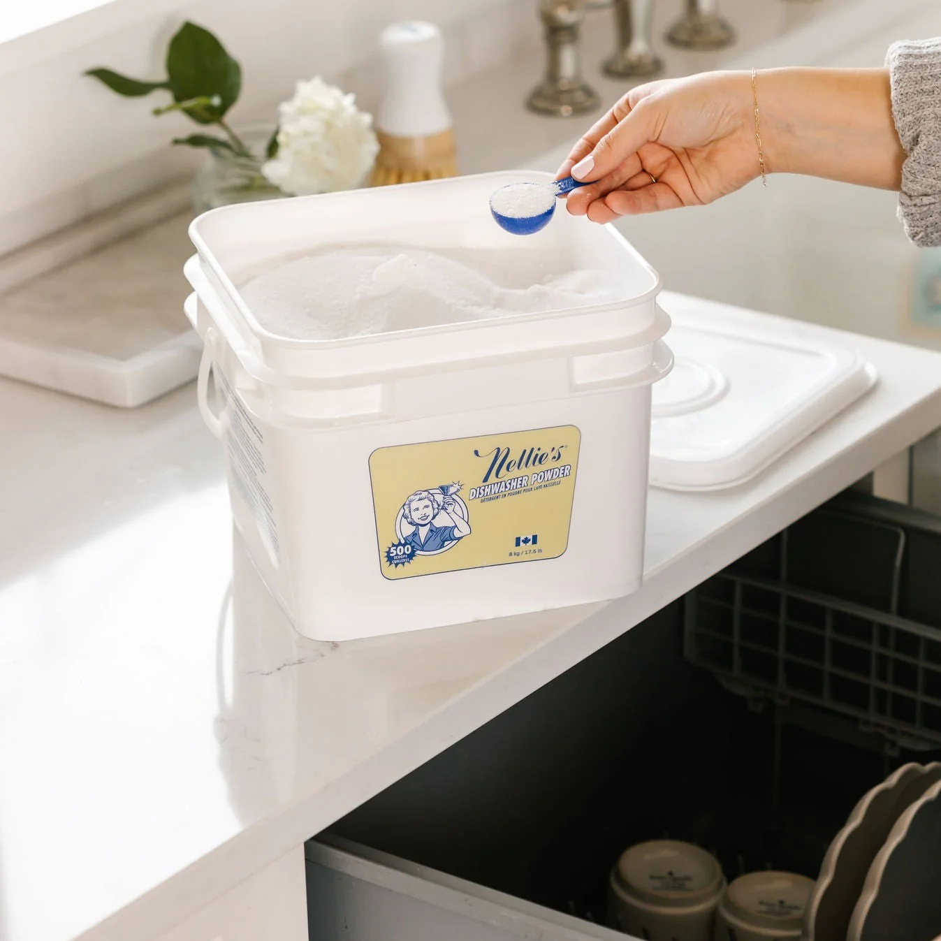 Dishwasher Powder - Image 8
