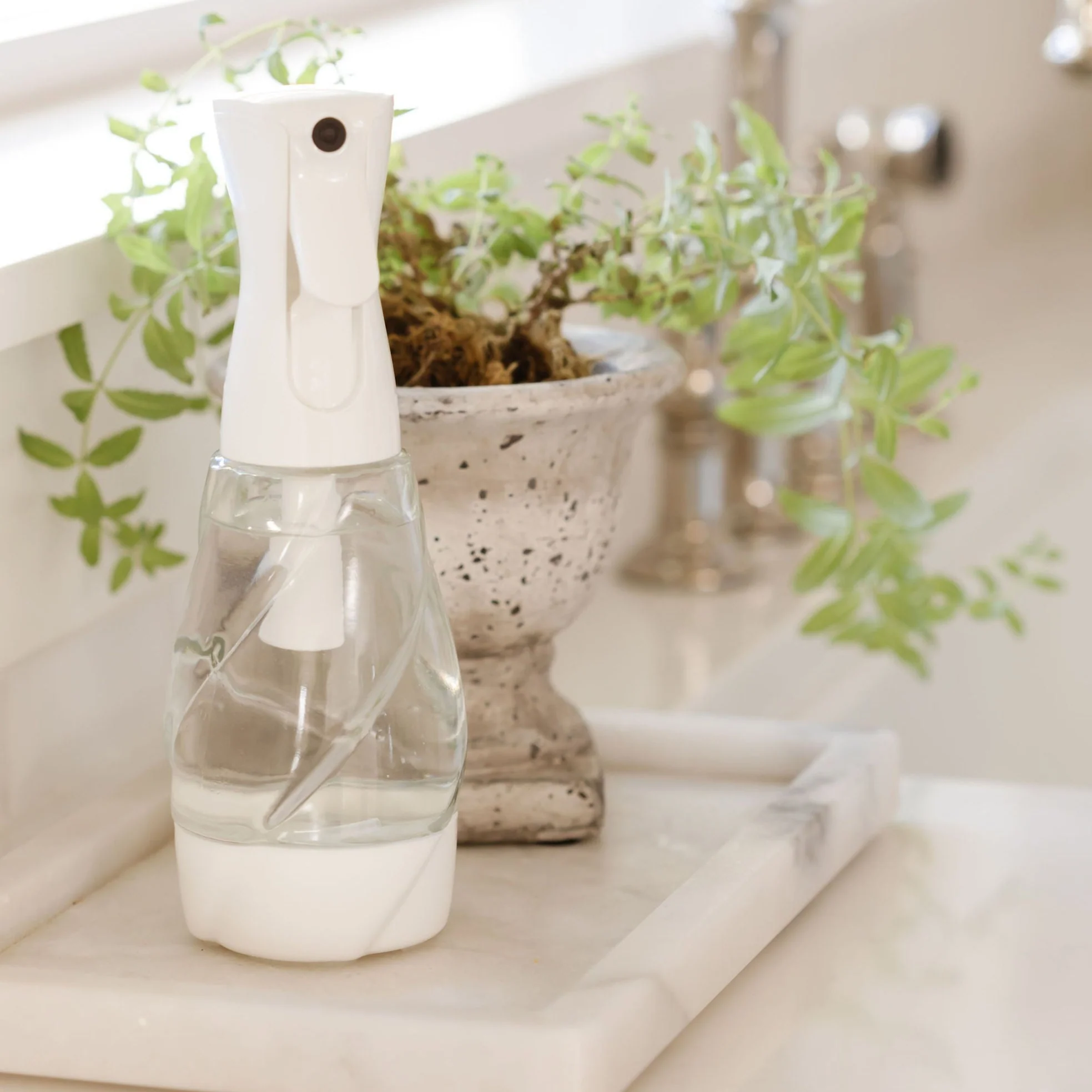 One Bottle - Image 5