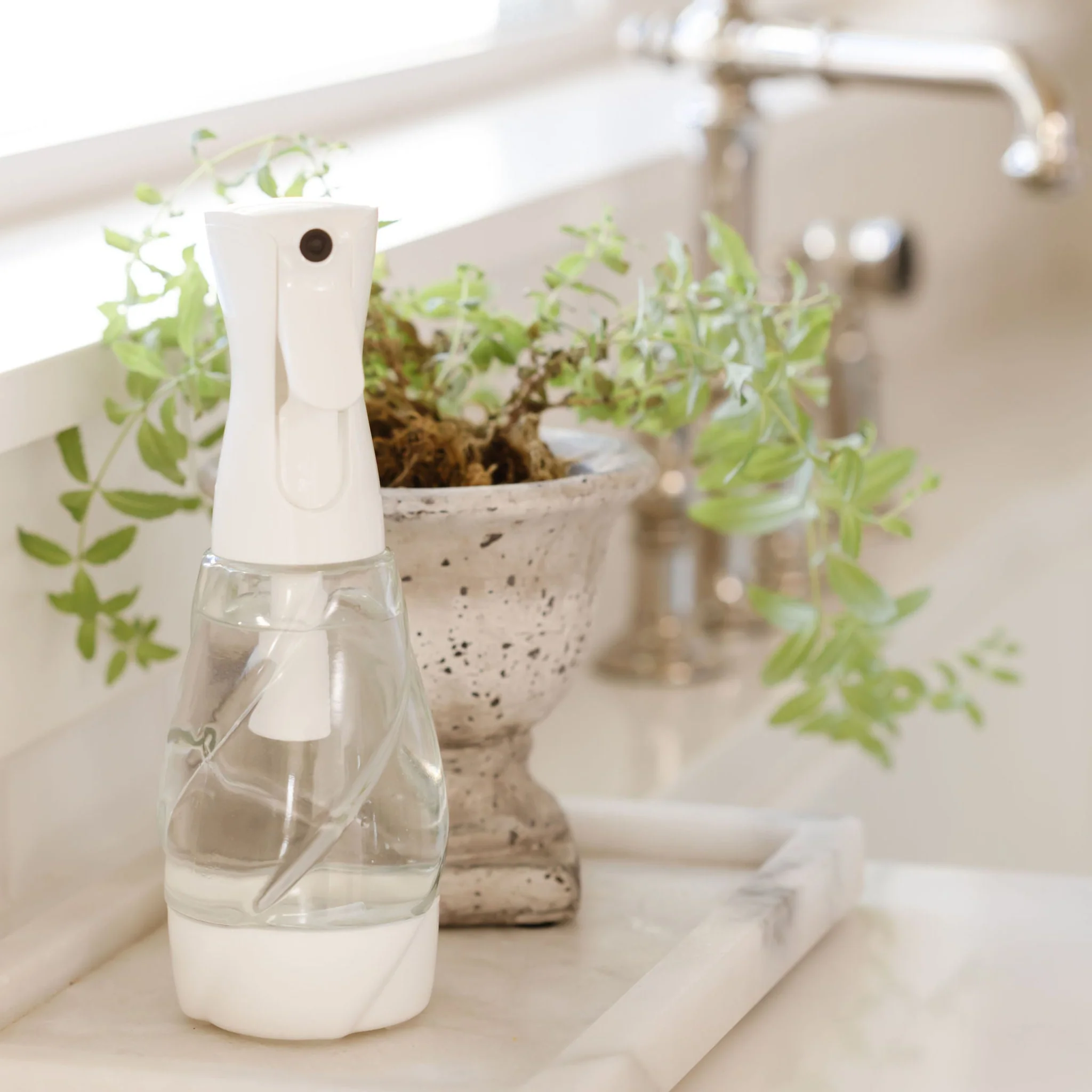 One Bottle - Image 8